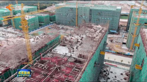 我市提前完成年度重大項(xiàng)目開(kāi)工任務(wù)，累計(jì)新開(kāi)工142個(gè)