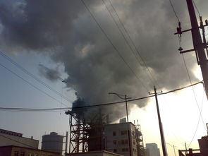 藍天一片 CAD軟件技術在可持續工廠建設中的交流與展望